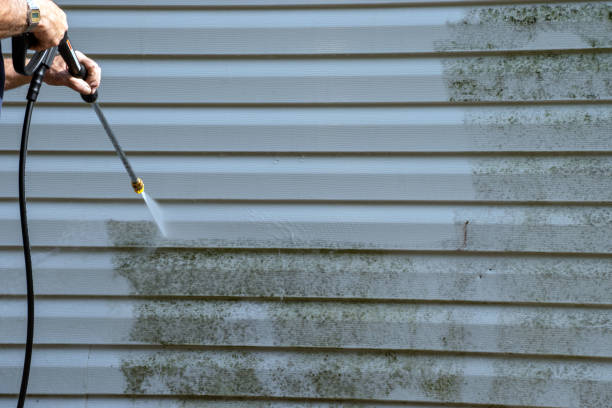 Best Demolition Debris Removal  in Magnolia, MS